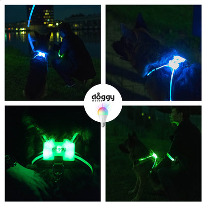 LED Luminous Anti-lost Anti-car Accident Warning Flashing Dog Harness